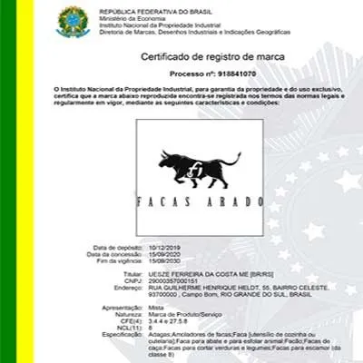 Registro INPE